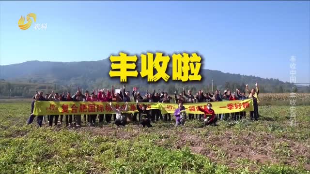 【直通丰收一线】丰收中国 丰收史丹利