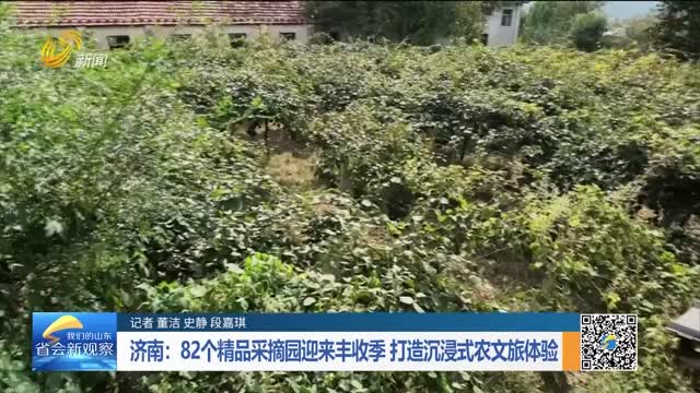 济南：82个精品采摘园迎来丰收季 打造沉浸式农文旅体验