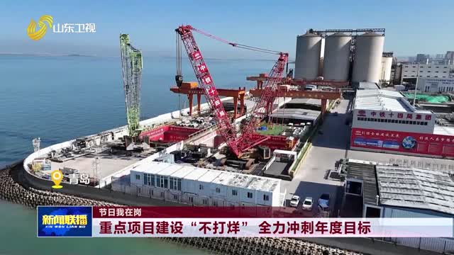 重点项目建设“不打烊” 全力冲刺年度目标【节日我在岗】