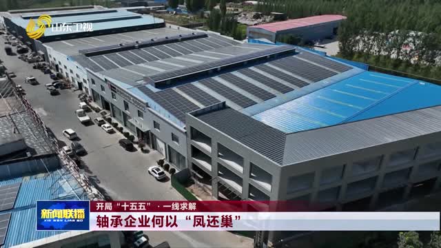 轴承企业何以“凤还巢”【开局“十五五”·一线求解】