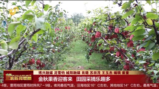 【欢度国庆假期】金秋果香迎客来 田园采摘乐趣多