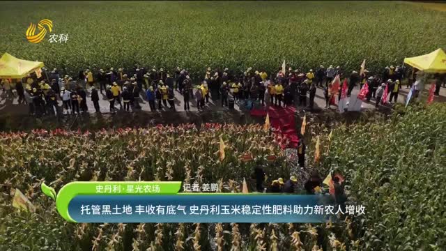 【史丹利·星光农场】托管黑土地 丰收有底气 史丹利玉米稳定性肥料助力新农人增收