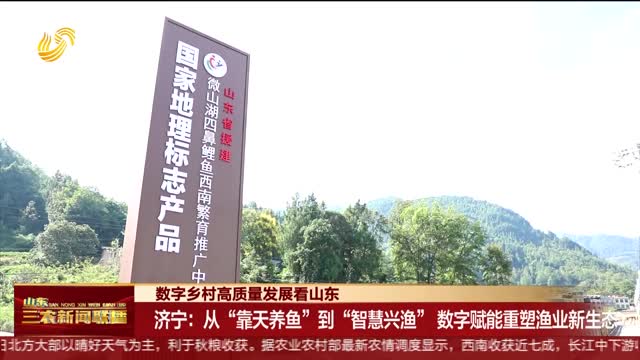 【数字乡村高质量发展看山东】济宁：从“靠天养鱼”到“智慧兴渔” 数字赋能重塑渔业新生态