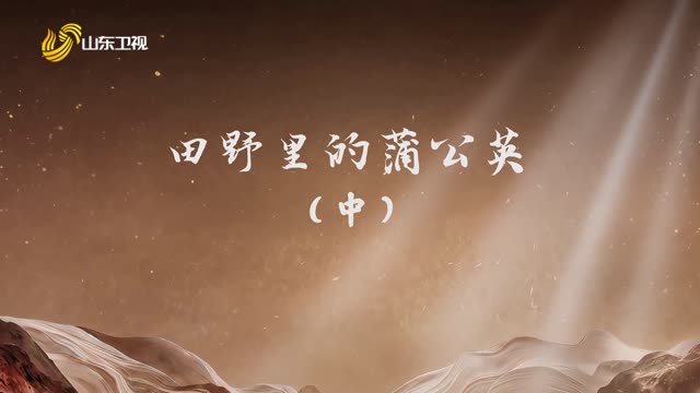 20261003《齐鲁先锋》：田野里的蒲公英（中）