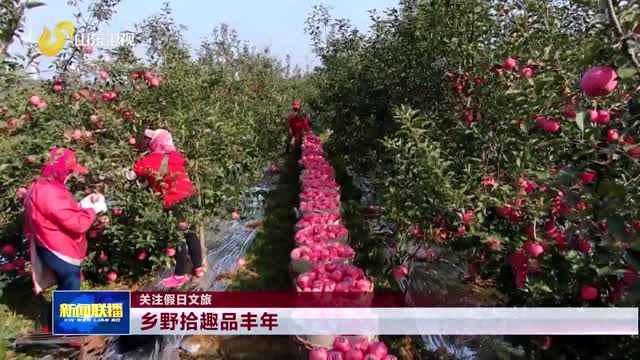 乡野拾趣品丰年【关注假日文旅】