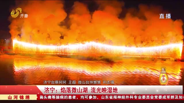 【空中看山东】焰落微山湖 流光映湿地