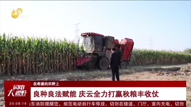 【在希望的田野上】良种良法赋能 庆云全力打赢秋粮丰收仗