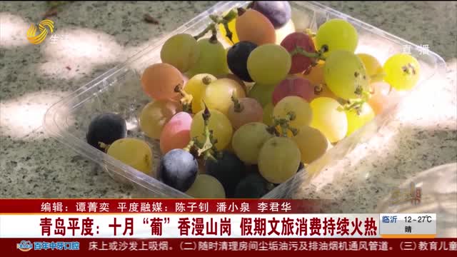 青岛平度：十月“葡”香漫山岗 假期文旅消费持续火热