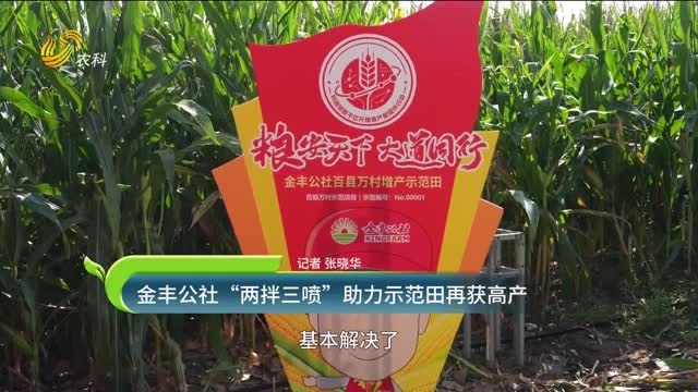 金丰公社“两拌三喷”助力示范田再获高产