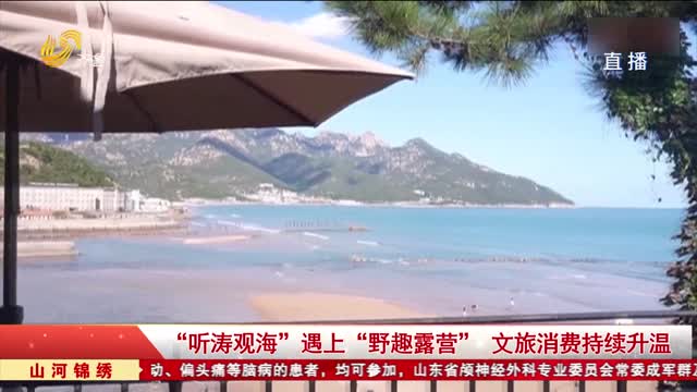 “听涛观海”遇上“野趣露营” 文旅消费持续升温