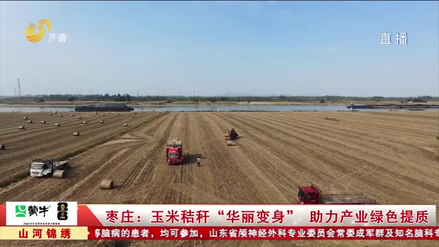 枣庄：玉米秸秆“华丽变身” 助力产业绿色提质