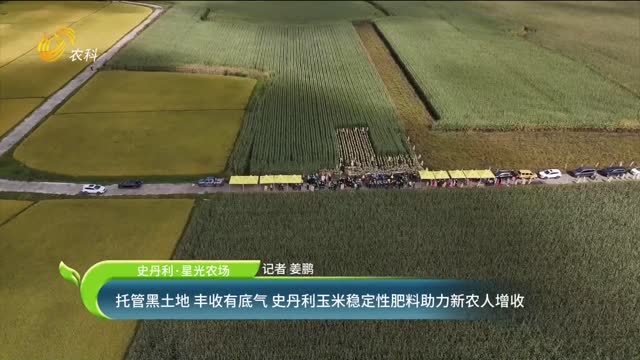 【史丹利·星光农场】托管黑土地 丰收有底气 史丹利玉米稳定性肥料助力新农人增收