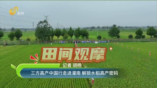 三方高产中国行走进灌南 解锁水稻高产密码