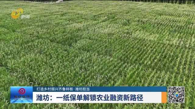 【打造乡村振兴齐鲁样板·潍坊担当】潍坊：一纸保单解锁农业融资新路径