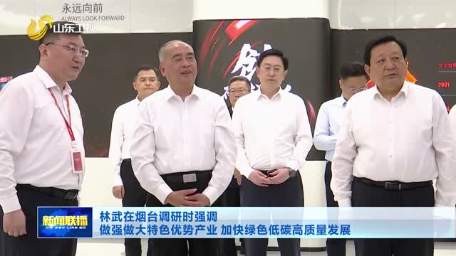 林武在烟台调研时强调 做强做大特色优势产业 加快绿色低碳高质量发展