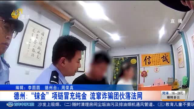 德州：“铼金”项链冒充纯金 流窜诈骗团伙落法网
