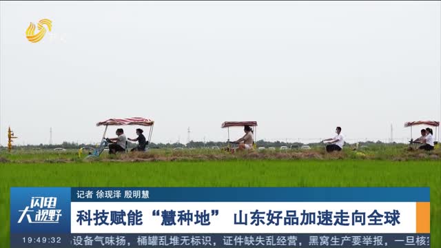 【关注2026山东农交会】科技赋能“慧种地” 山东好品加速走向全球