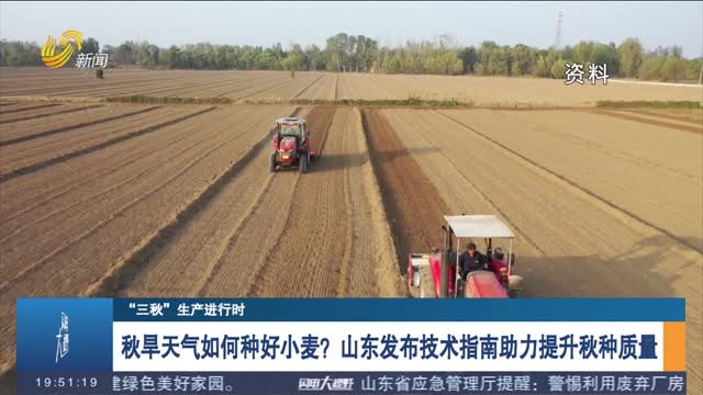 【“三秋”生产进行时】秋旱天气如何种好小麦？山东发布技术指南助力提升秋种质量