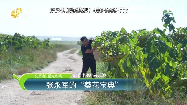 【史丹利·星光农场】张永军的“葵花宝典”