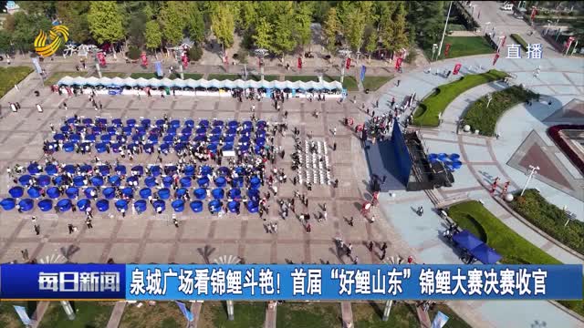 泉城广场看锦鲤斗艳！首届“好鲤山东”锦鲤大赛决赛收官