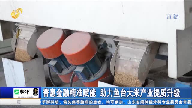 普惠金融精准赋能 助力鱼台大米产业提质升级