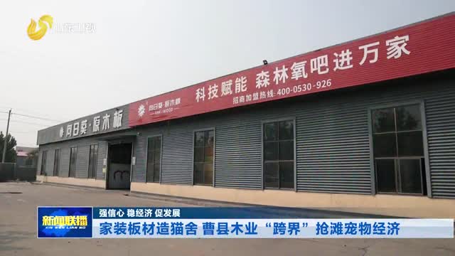 家装板材造猫舍 曹县木业“跨界”抢滩宠物经济【强信心 稳经济 促发展】