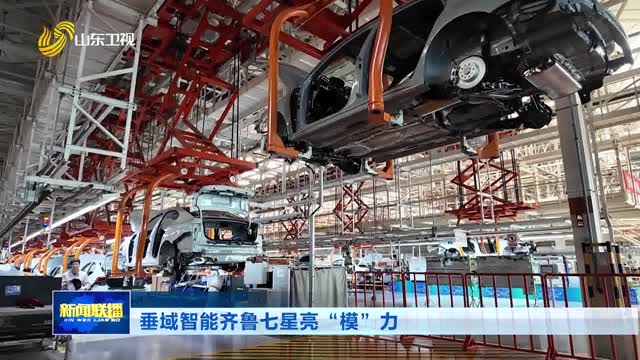 垂域智能齐鲁七星亮“模”力【2026人工智能产业大会】