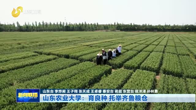 山东农业大学：育良种 托举齐鲁粮仓