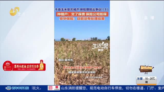 【帮办出马】千亩玉米受灾减产 保险理赔出争议