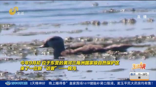 东营：生态立法守护“大河之洲”