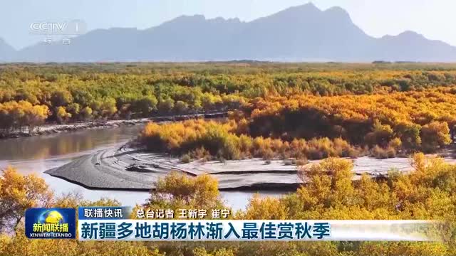 【联播快讯】新疆多地胡杨林渐入最佳赏秋季