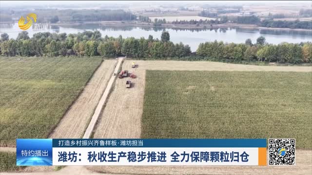 【打造乡村振兴齐鲁样板·潍坊担当】潍坊：秋收生产稳步推进 全力保障颗粒归仓
