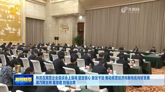 林武在民营企业座谈会上强调 坚定信心 鼓足干劲 推动民营经济向新向优向好发展 周乃翔主持 葛慧君 刘强出席